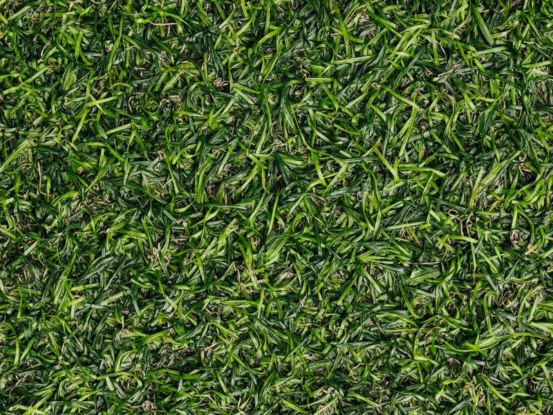 Artificial turf job near Nixa, MO